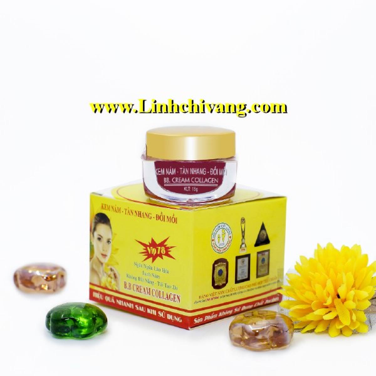 [HCM]KEM NÁM TÀN NHANG ĐỒI MỒI LINH CHI VÀNG 15G