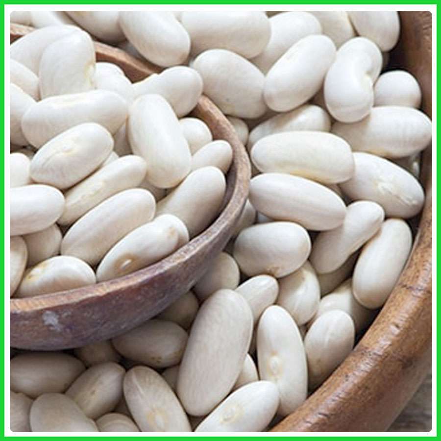 1kg đậu trắng đà lạt