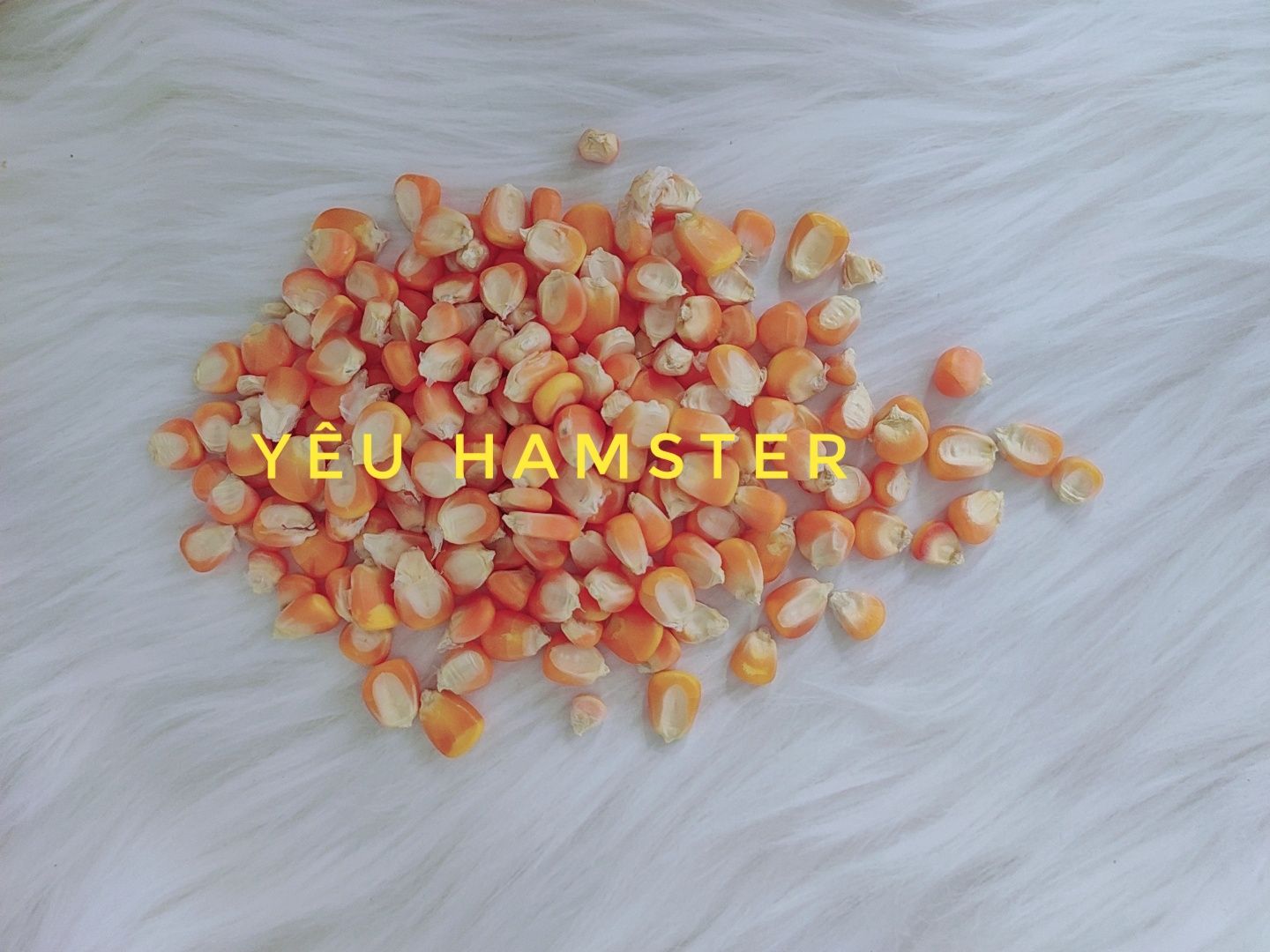 Mài răng cho hamster - Bắp hạt - 100gr