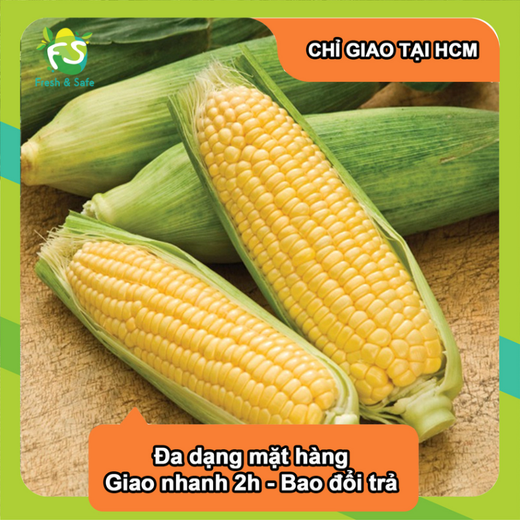 [Chỉ Giao HCM] Bắp Mỹ - 1 trái