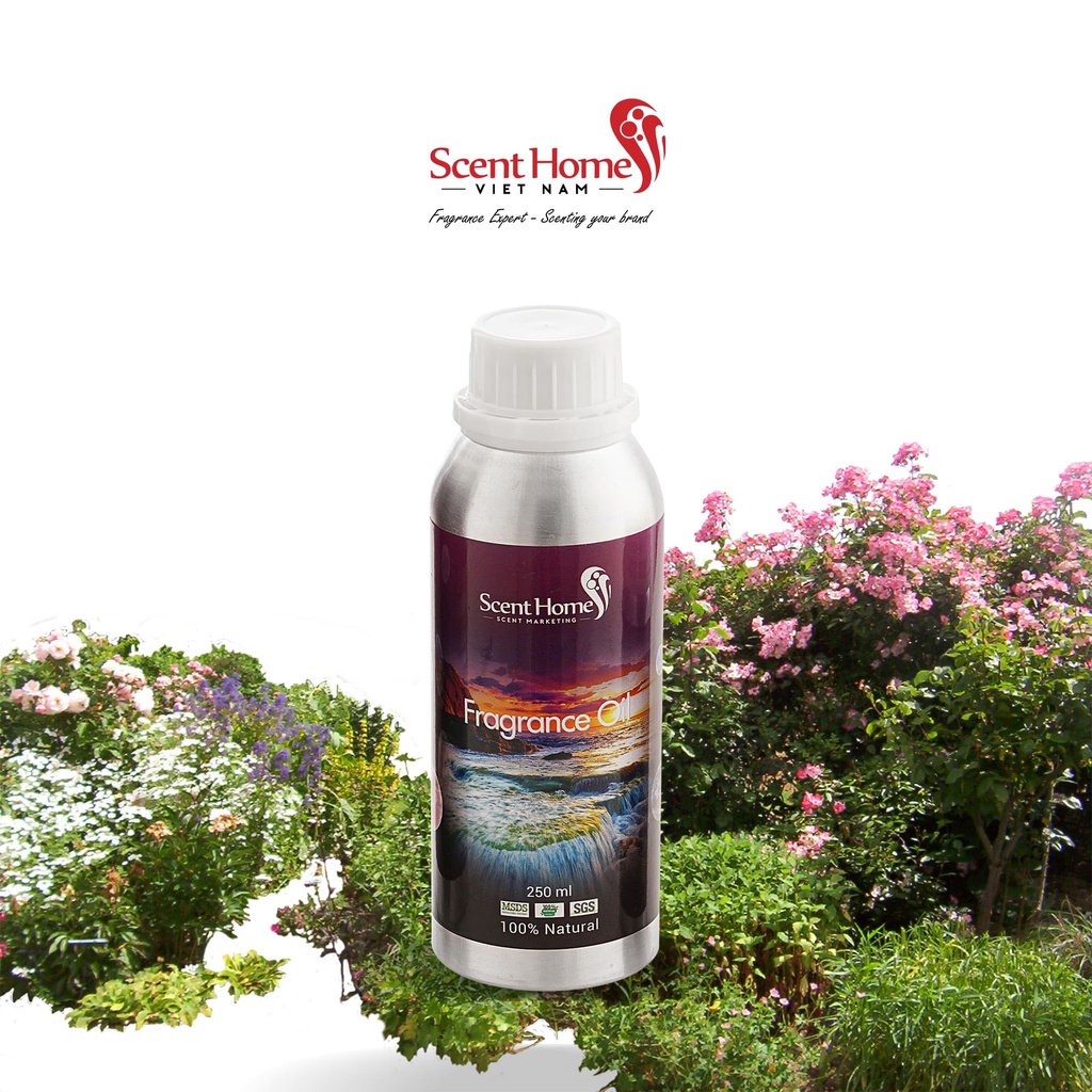 Tinh dầu Scent Homes - mùi hương (Sky Garden)