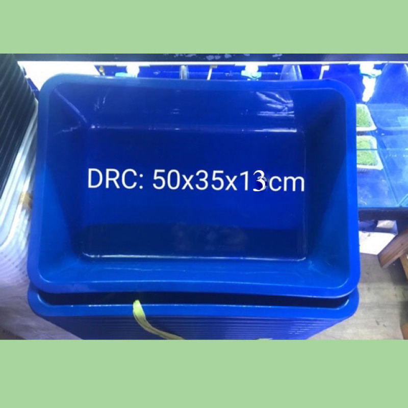 3 Khay Nhựa Xanh 50x35x13 Nuôi Cá Guppy, Betta