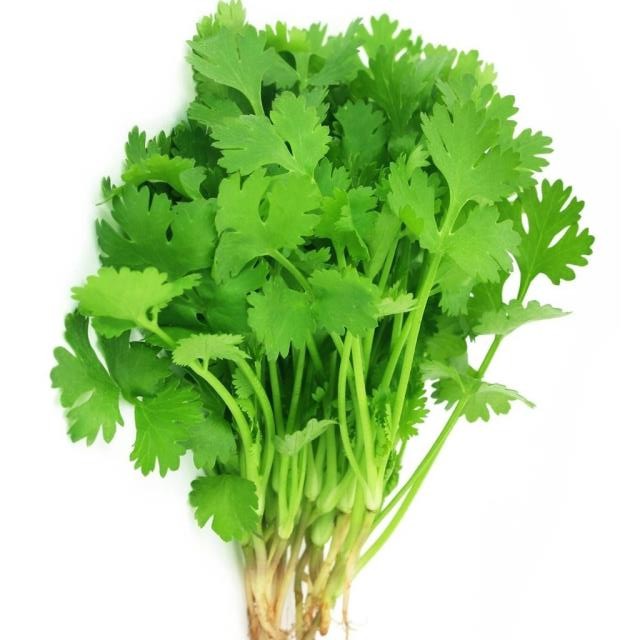 Hạt Giống ngò rí (20gr)