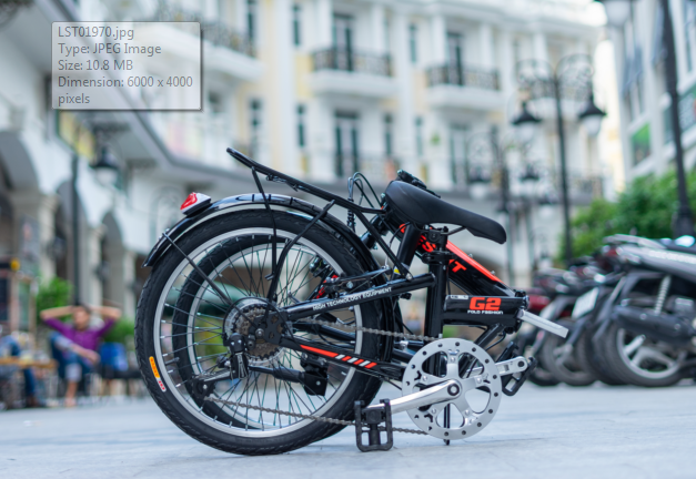[HCM]XE GẤP 20IN GESAIT Tiêu Chuẩn CHÂU ÂU