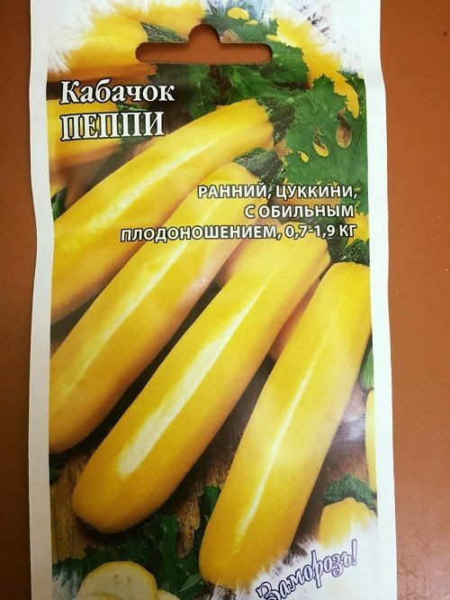 COMBO 5 gói hạt giống bí ngòi mix (TẶNG gói kích thích hạt nảy mầm)