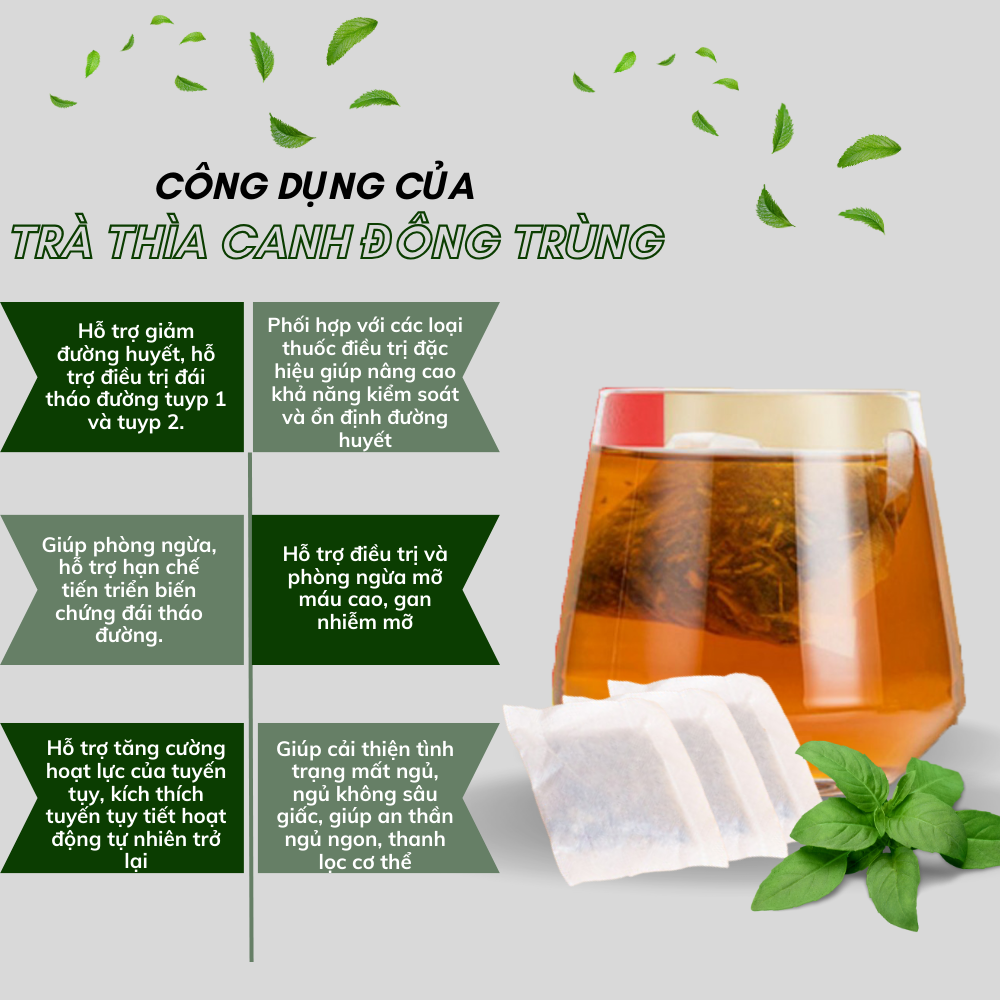 Trà túi lọc dây thìa canh đông trùng