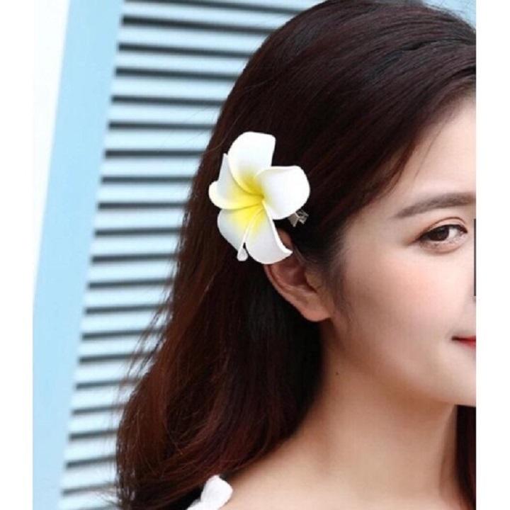 SET 5 Hoa Đại Cài Tóc Siêu Hot Hit