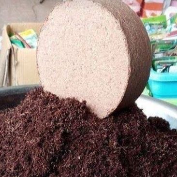 Viên Nén Đất Hữu Cơ Trồng Rau, Trồng Cây