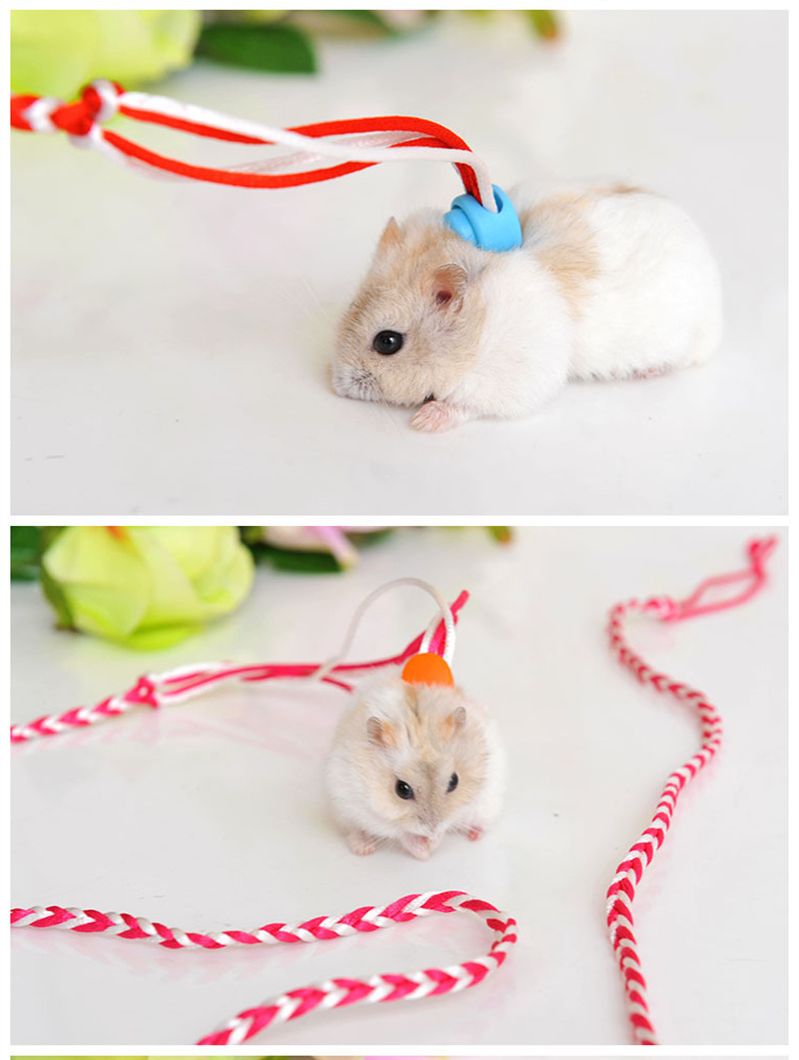 Dây giữ dắt Hamster Bọ Ú Sóc Thú Nhỏ có chuông