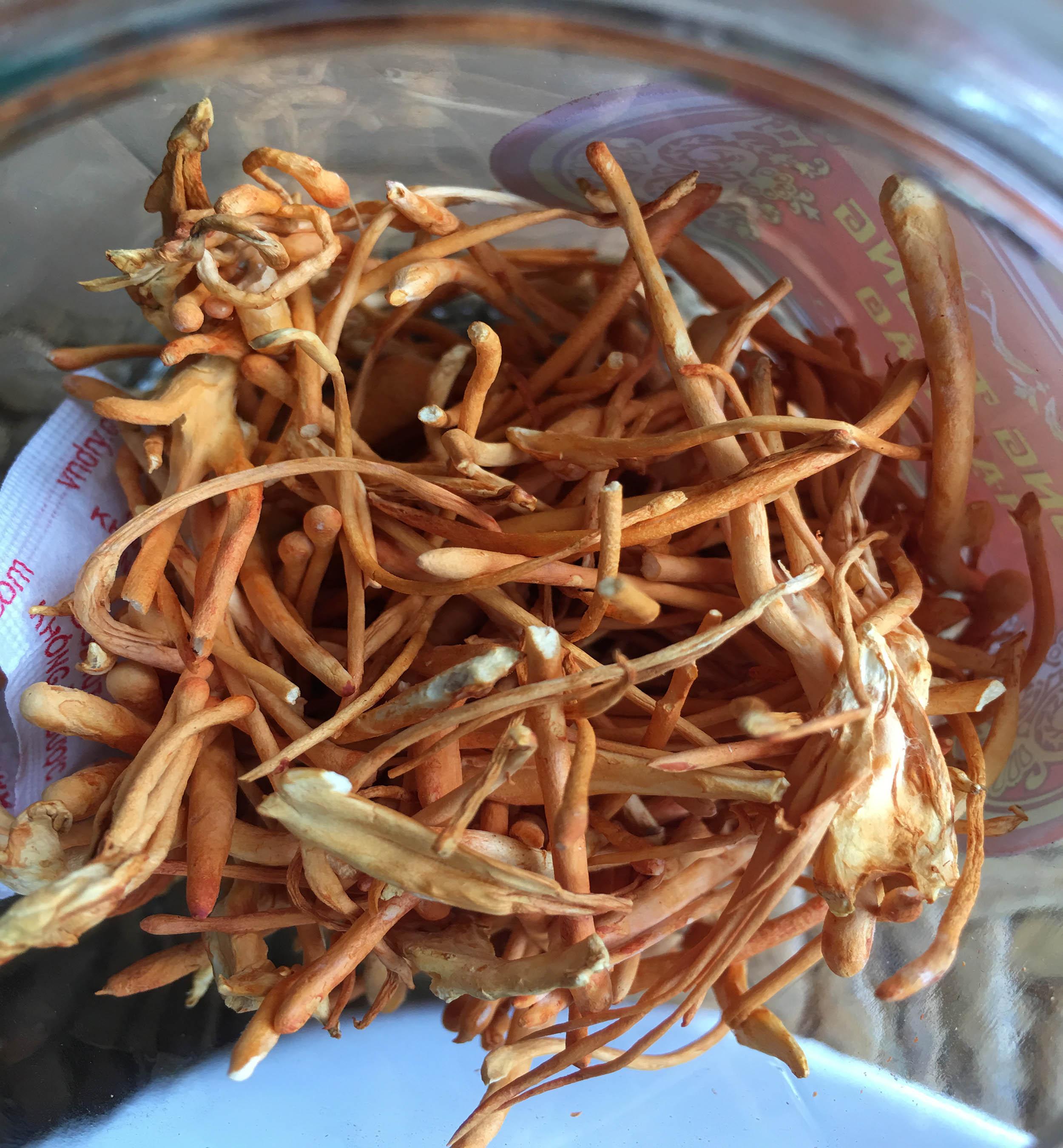 Đông Trùng Hạ thảo Khô 10g