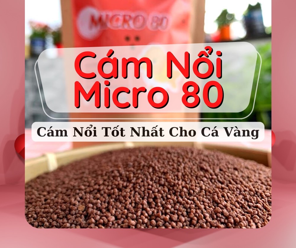 TÚI 1KG-1 KÝ CÁM MICRO 80, HẠT NỔI 0,8MM