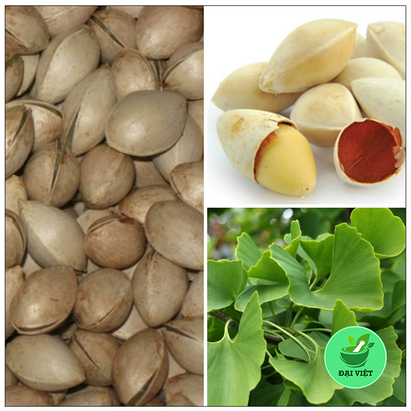 Bạch quả (gói 1kg) - DV113