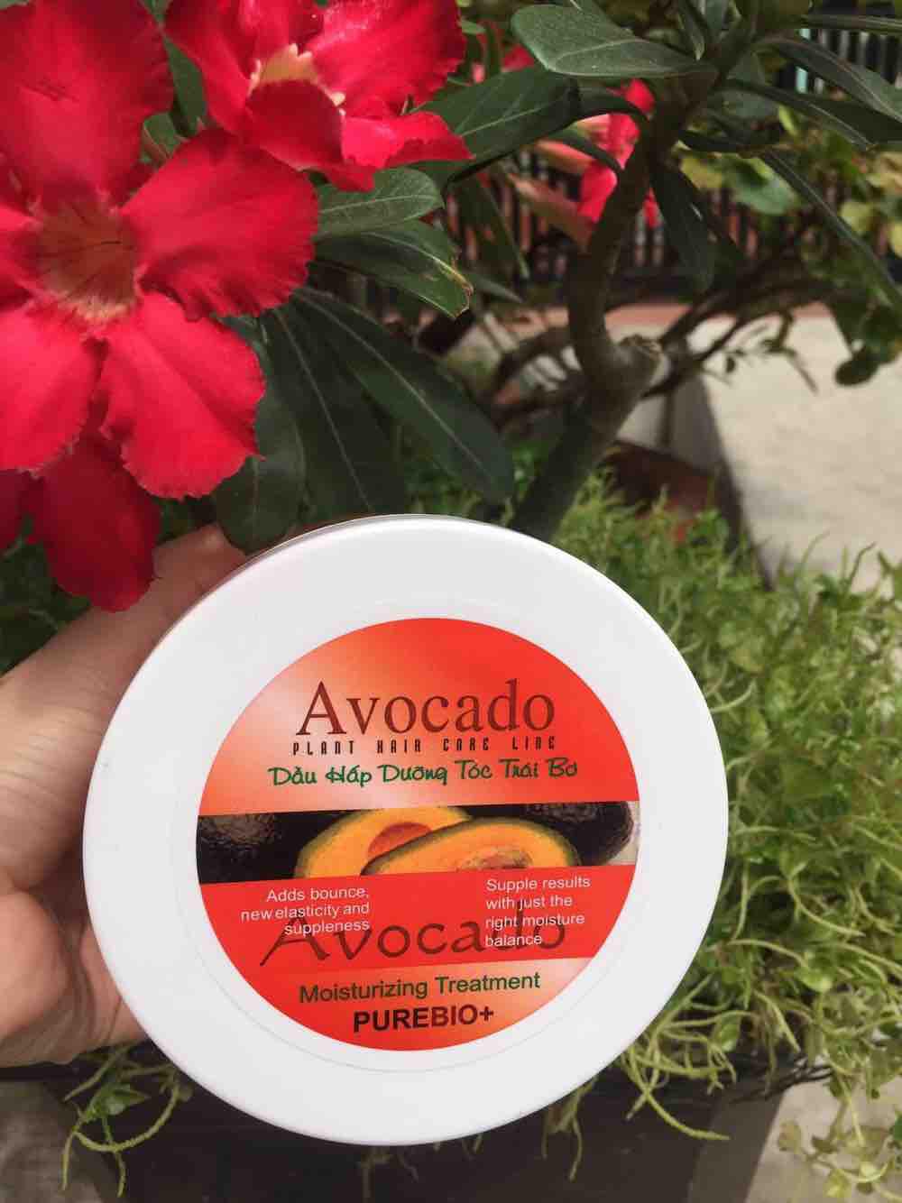Hấp dầu trái Bơ Avocado 500 ml phục hồi tóc khô