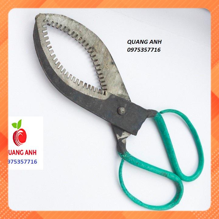 KÉO KHOANH CÀNH CÂY ĂN QUẢ - CÓ RĂNG CƯA