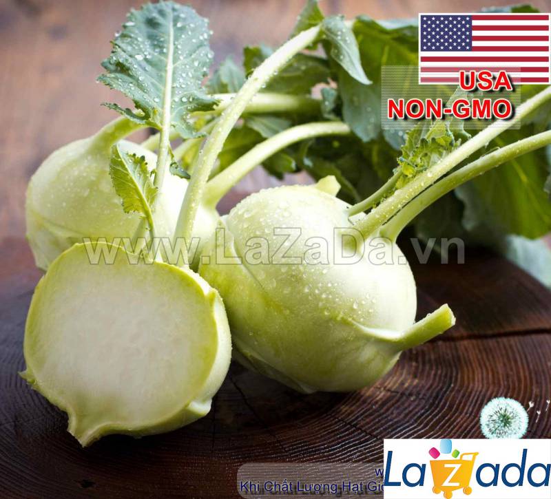 100GR 20K.HẠT Hạt Giống Su Hào Trắng USA (| B30*W31)