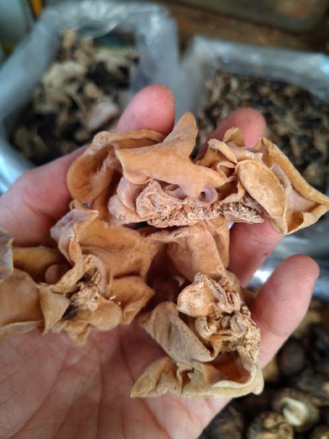 Nấm Mèo Khô Tai To 100G|Trắng