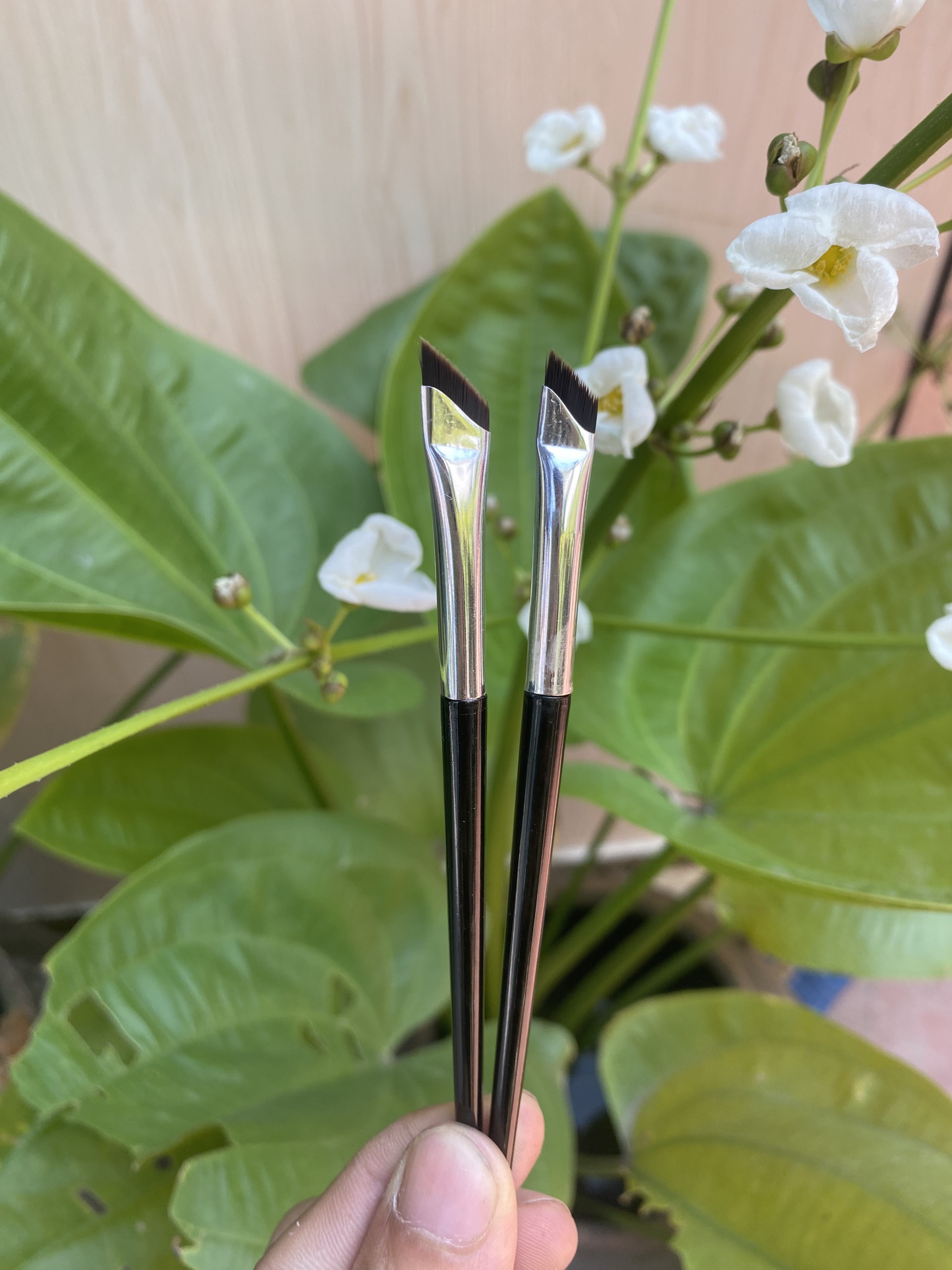 Set 2 cây cọ lưỡi liềm kẻ mắt