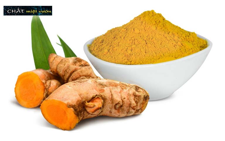 Cây nghệ vàng giống