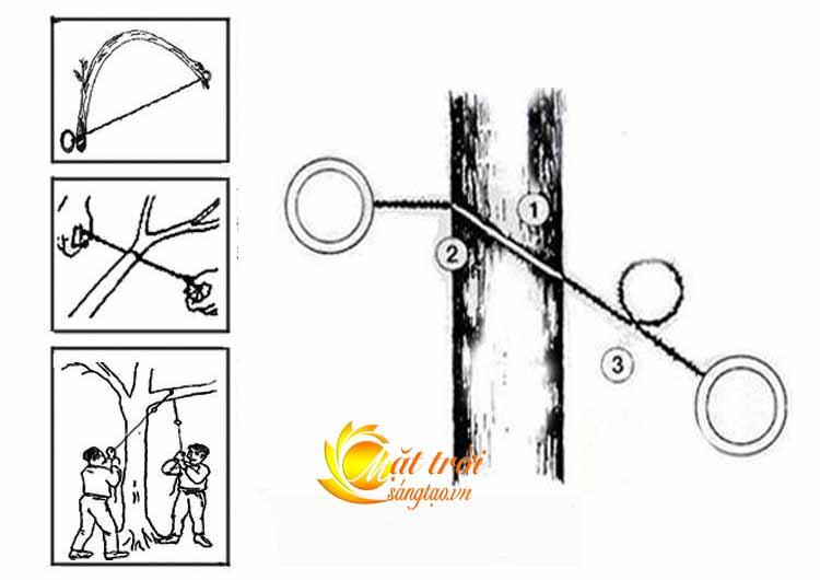 Dây cưa sinh tồn