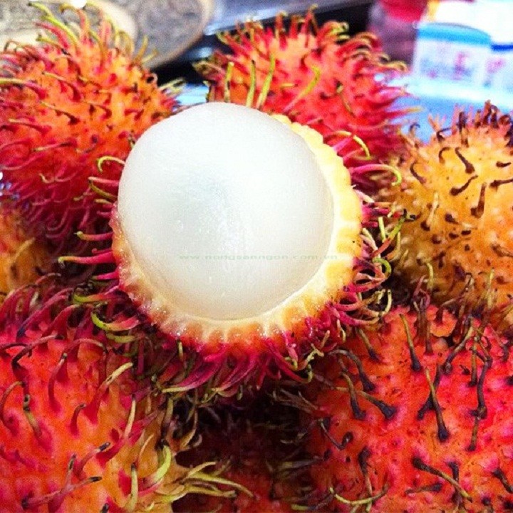 Cây giống chôm chôm nhãn siêu ngon siêu quả- cam kêt giống chuẩn