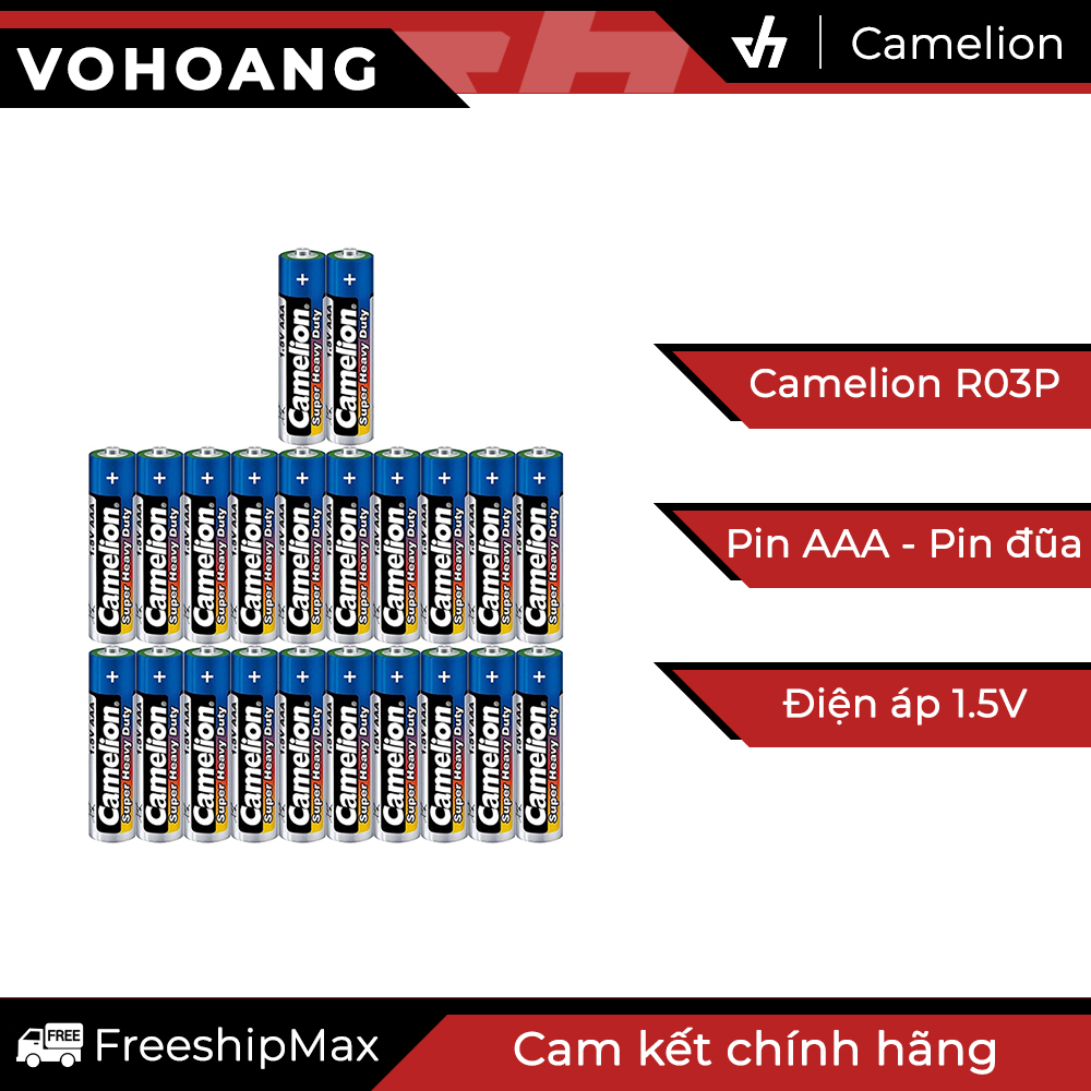 22 pin AAA Camelion R03P