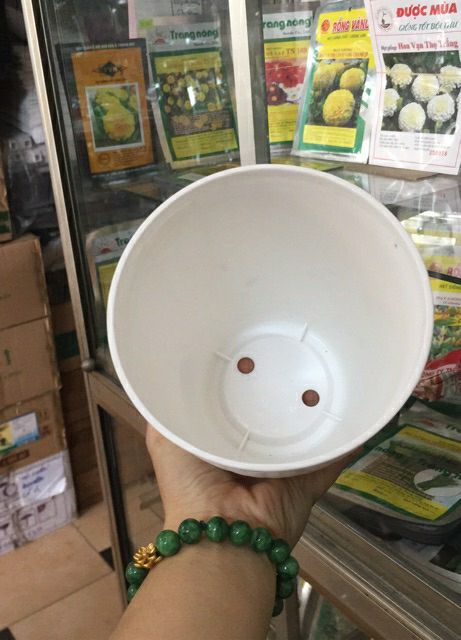 combo 2 chậu nhựa đan mây đk 13cm