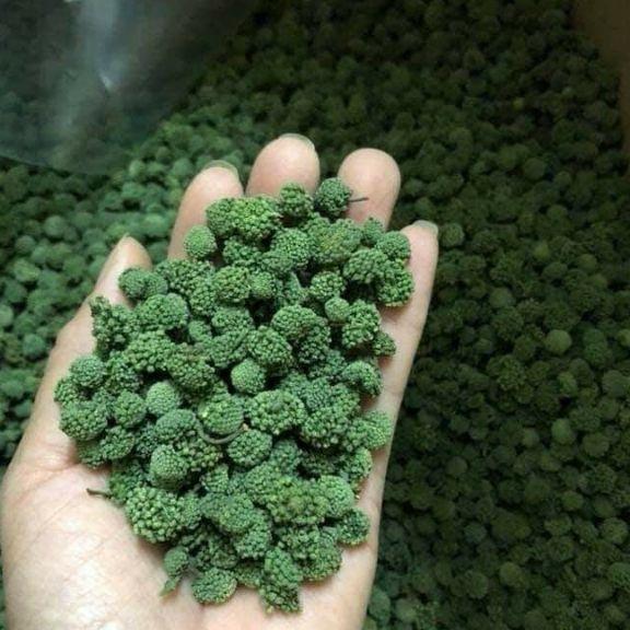 1kg nụ tam thất không cuống