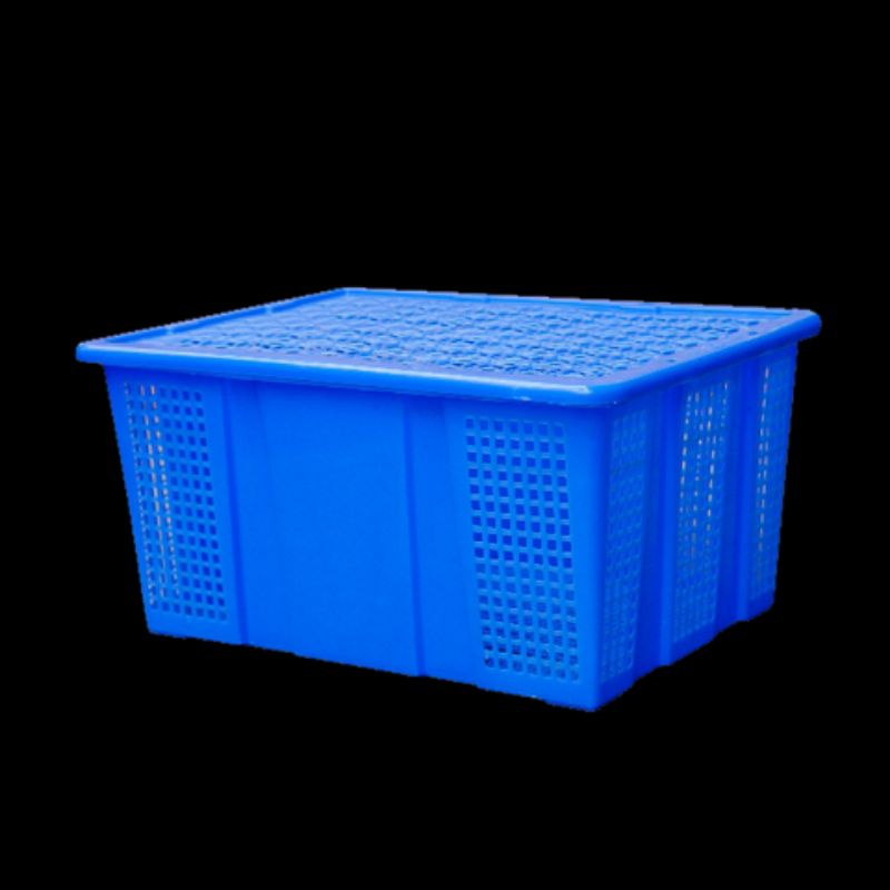 rỗ trái cây có nắp