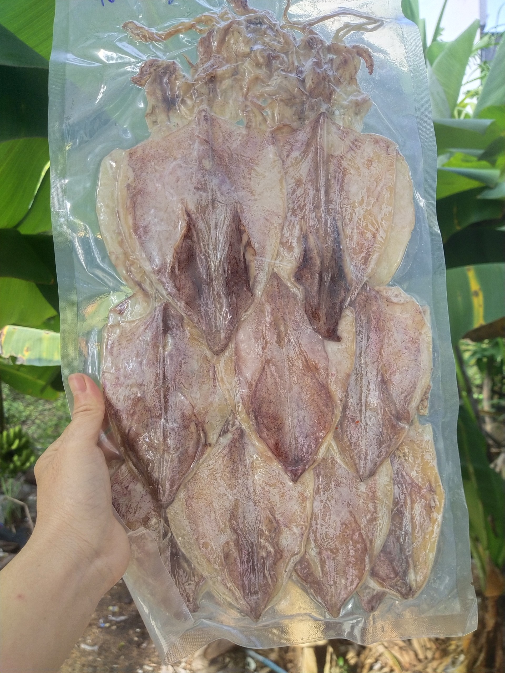 Khô mực câu 40-45con/kg [hàng loại 1 ngon ngọt] GHPY H009