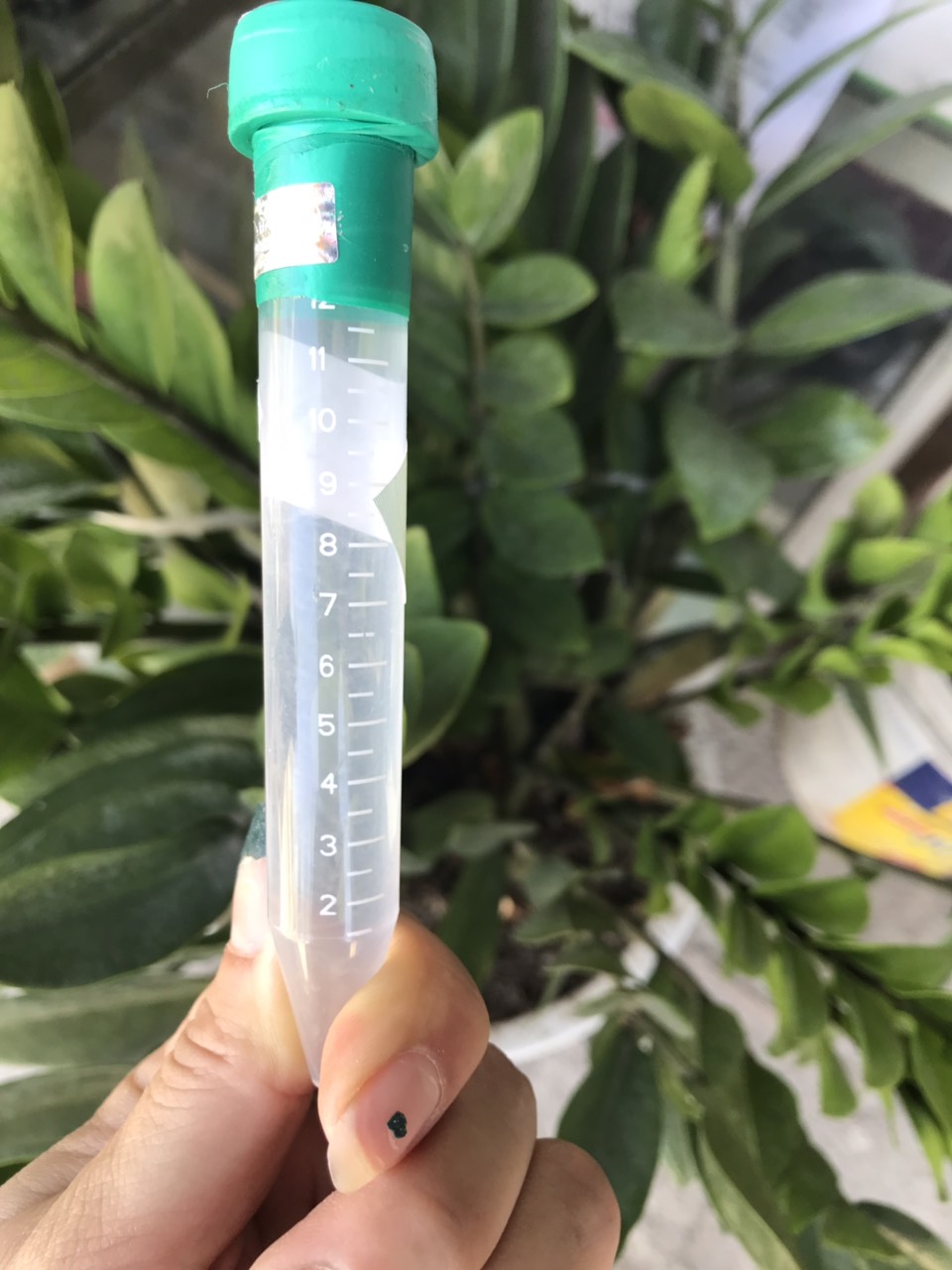 Kích mầm hoa lan - Keiki Duy Spray