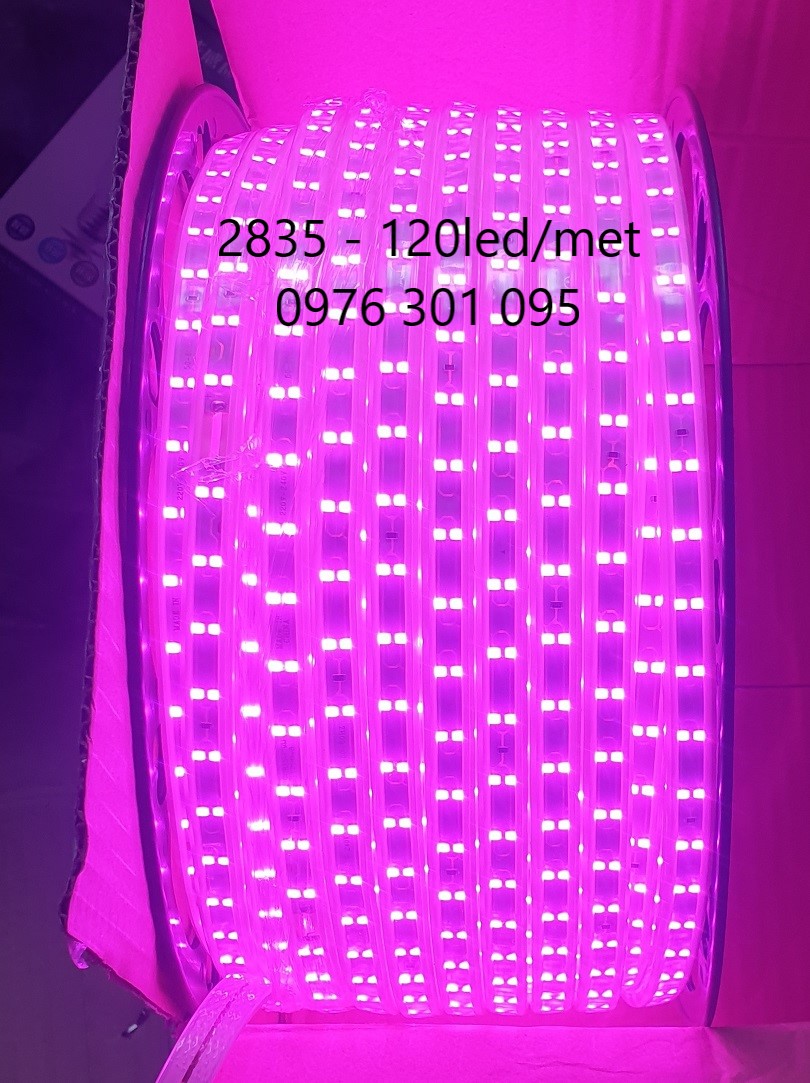 Cuộn Led Dây Đôi 2835 - 100M (2 Hàng Led Đôi) + Tặng 5 Dây Nguồn - Đèn Led Thiên Vân
