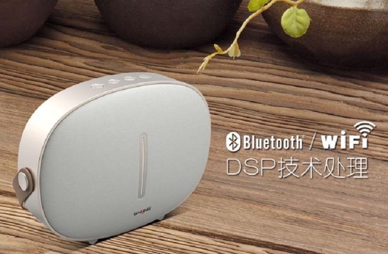 Loa bluetooth w-king t8