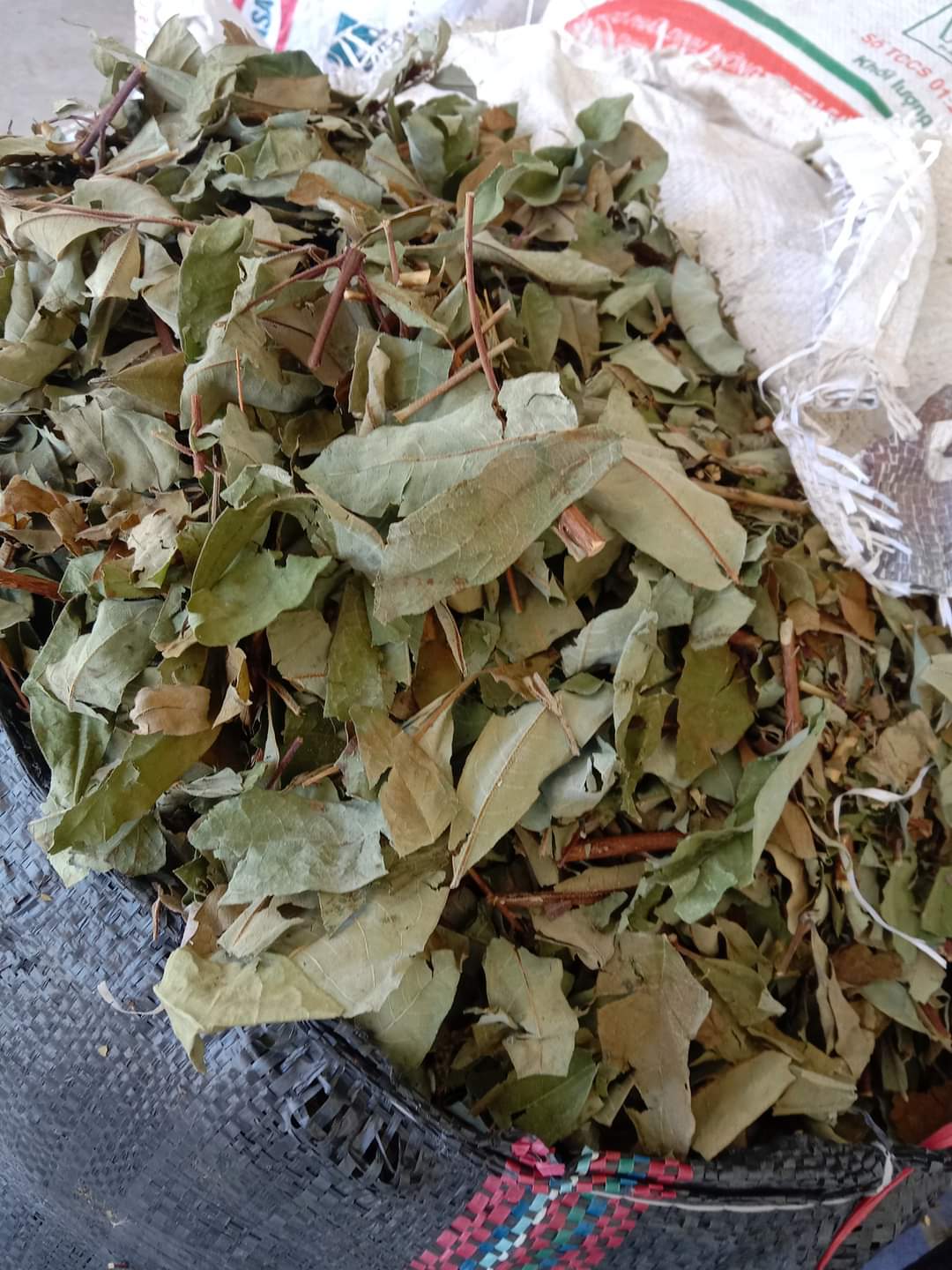 (Dược liệu khô) Cây Thành Ngạnh ( cây đỏ ngọn) phơi khô 500g