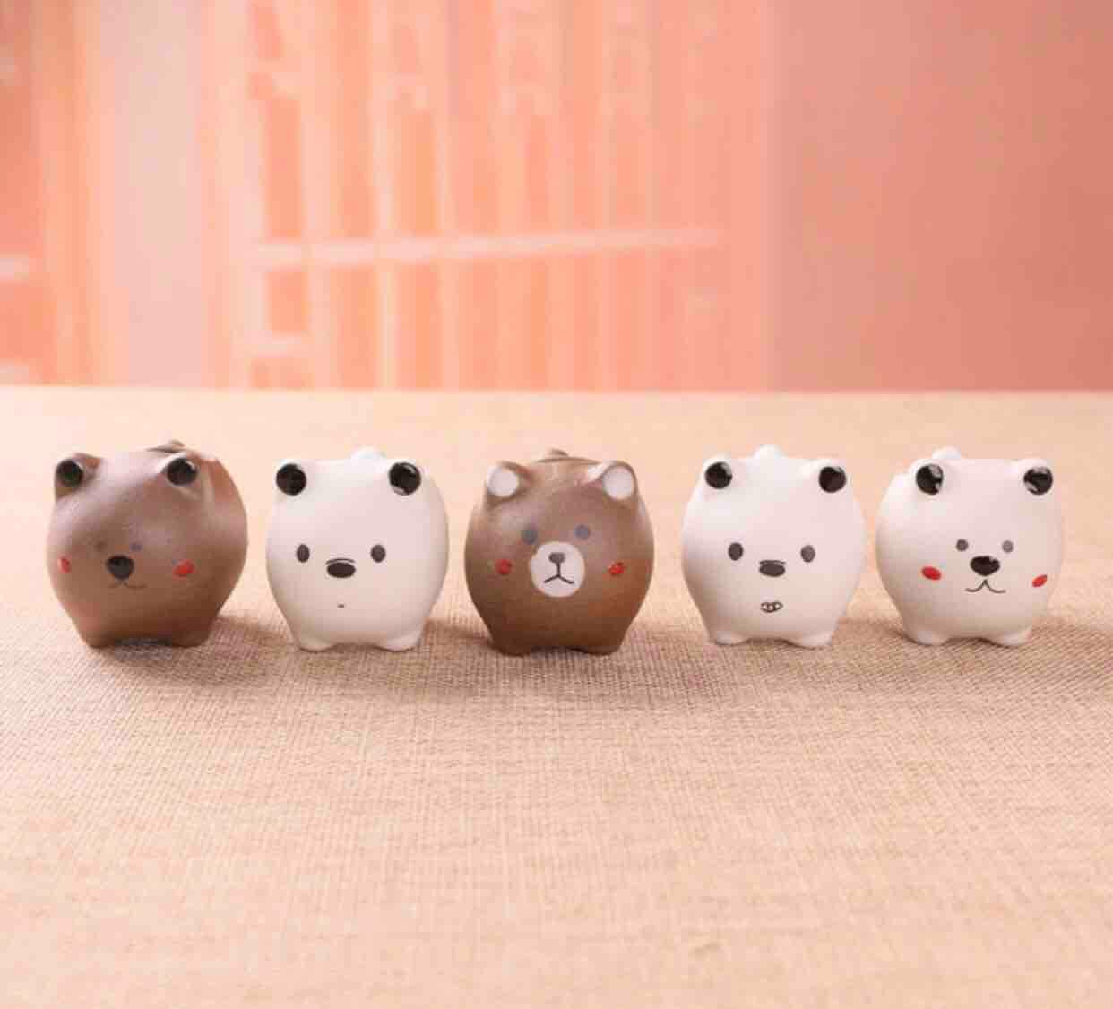 Set 5 chậu gấu trang trí