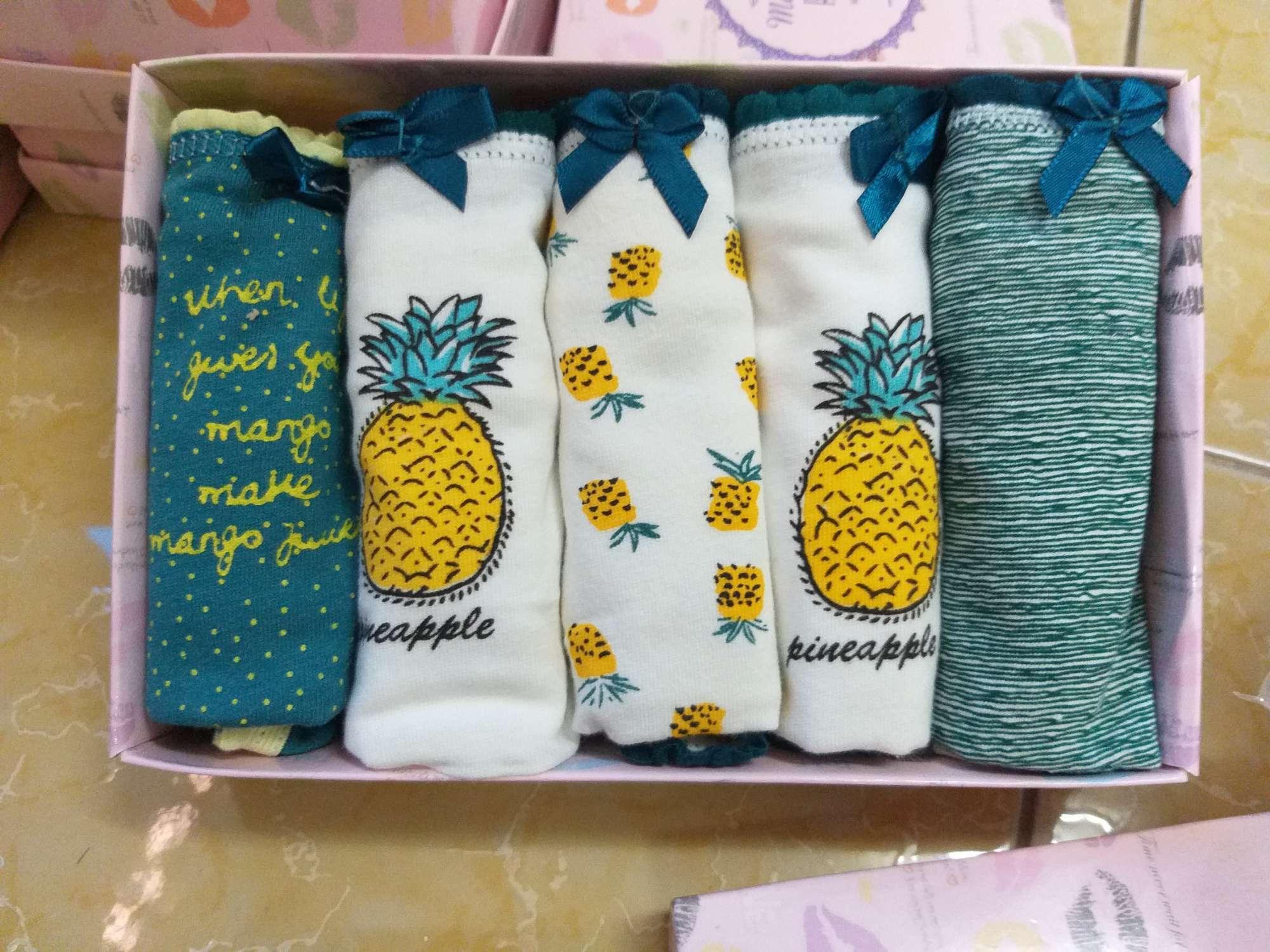 Combo hộp 5 quần cotton siêu cute