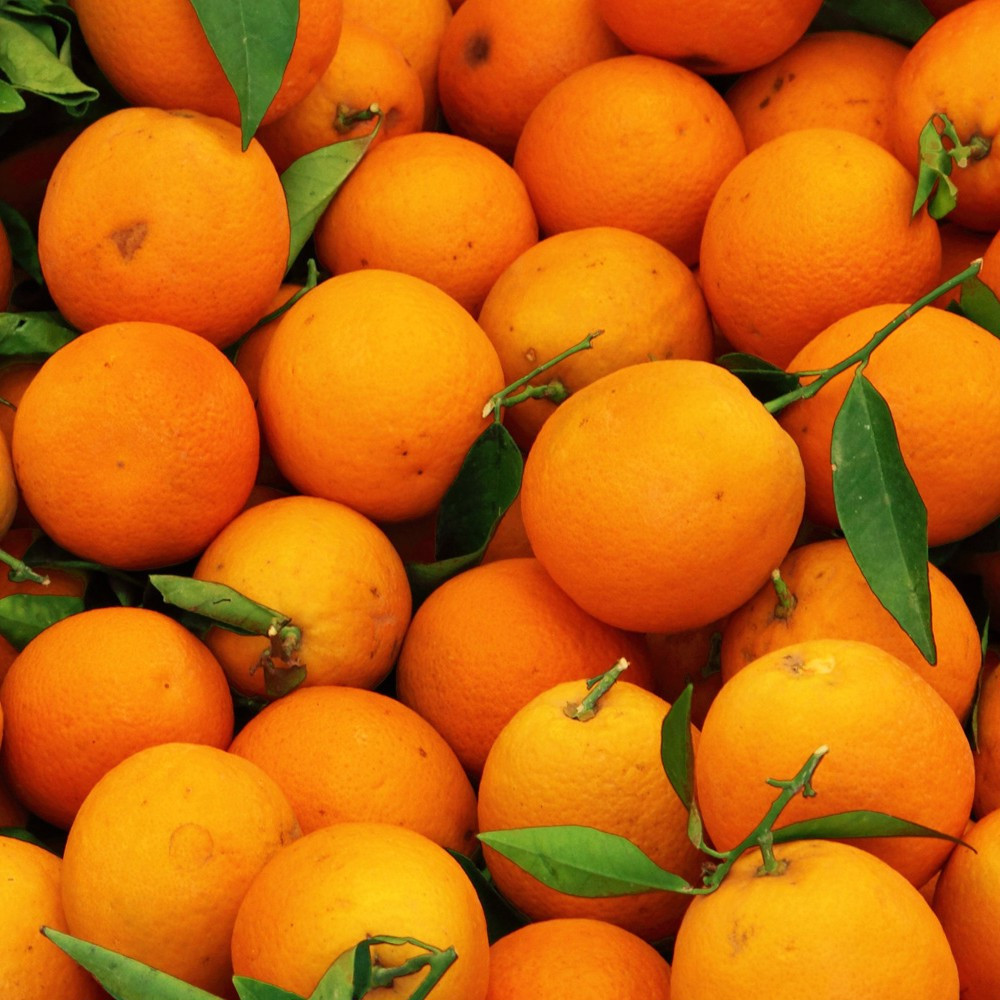 Tinh Dầu Vỏ Cam Nguyên Chất Nomad Essential Oils Orange