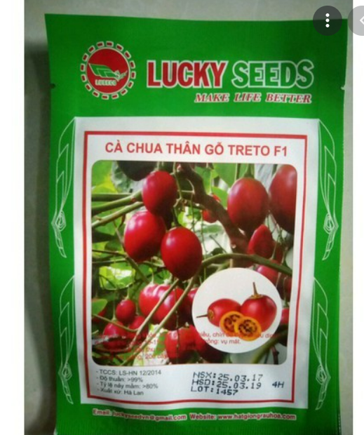 Hạt giống cà chua thân gỗ lucky gói 4 hạt