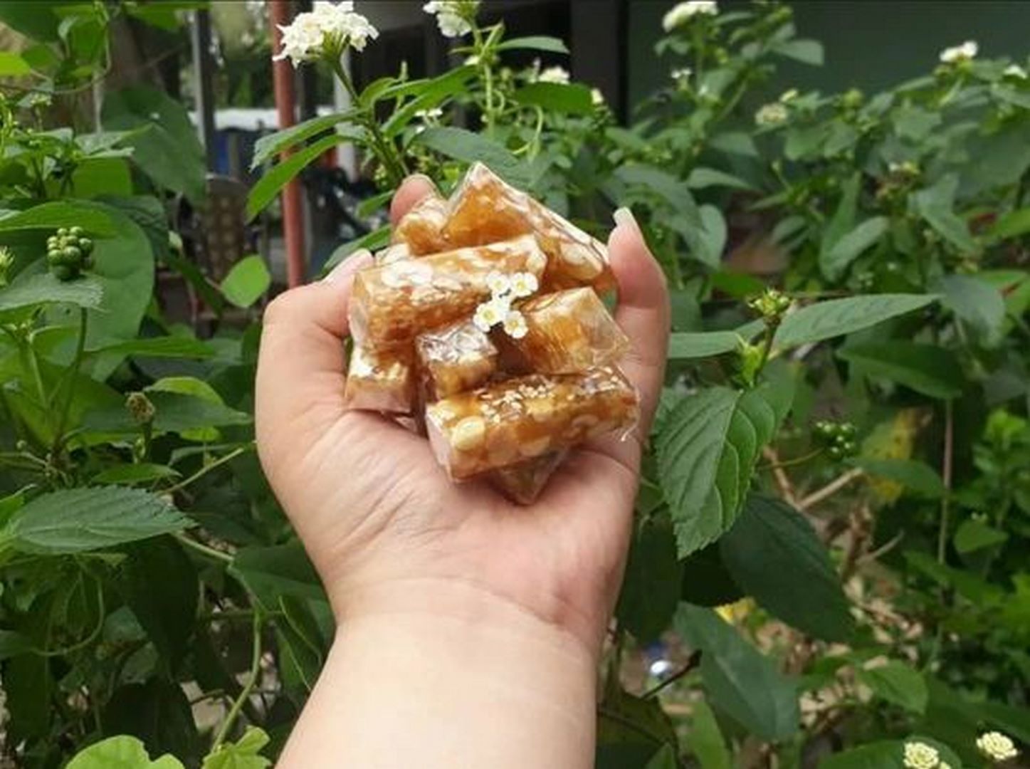 Kẹo mè xửng đậu phộng - siêu ngon 500g