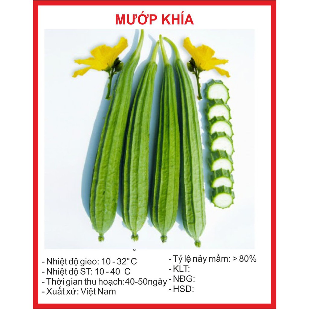 Hạt giống mướp khía thái lan-gói 10 hạt