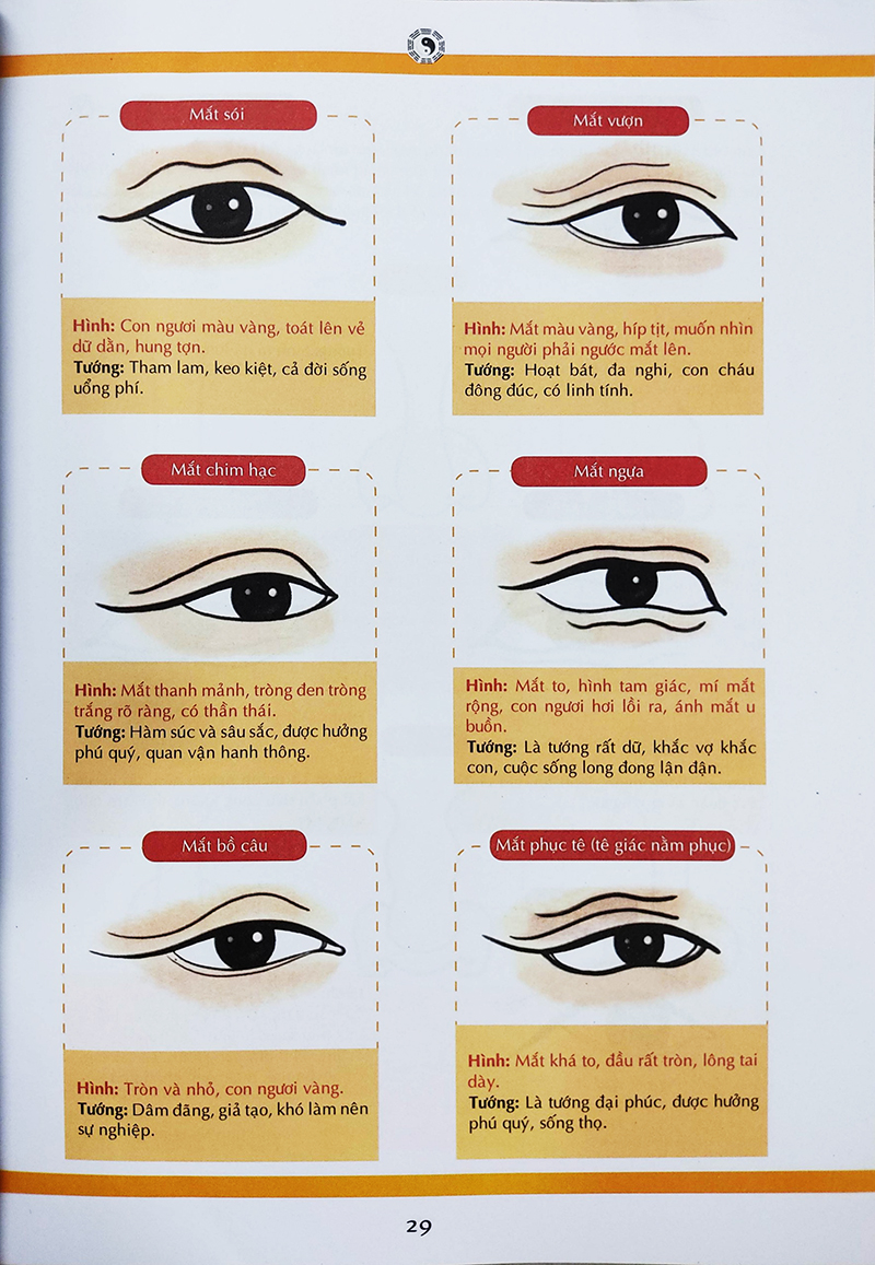 Ma Y Thần Tướng