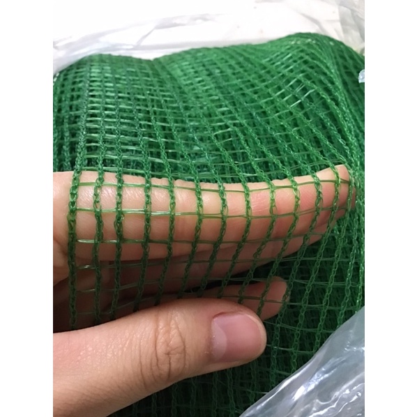 10 mét Lưới cước xanh khổ cao 1 mét 2 loại dày