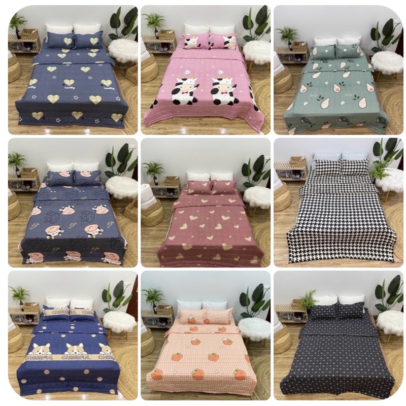 Bộ chăn ga gối hè cotton poly mềm mại