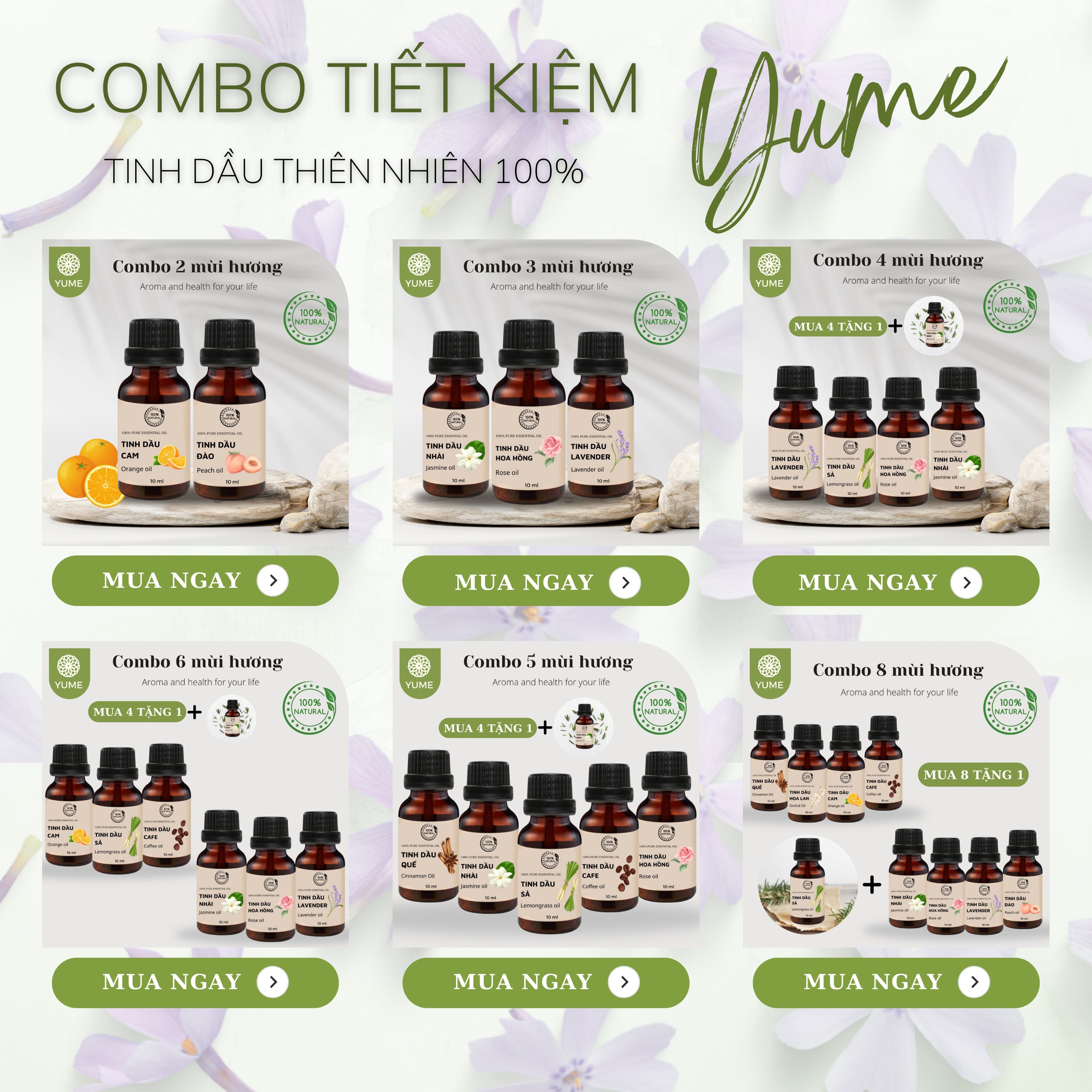 [HCM] TINH DẦU QUẾ, CHAI 10ML