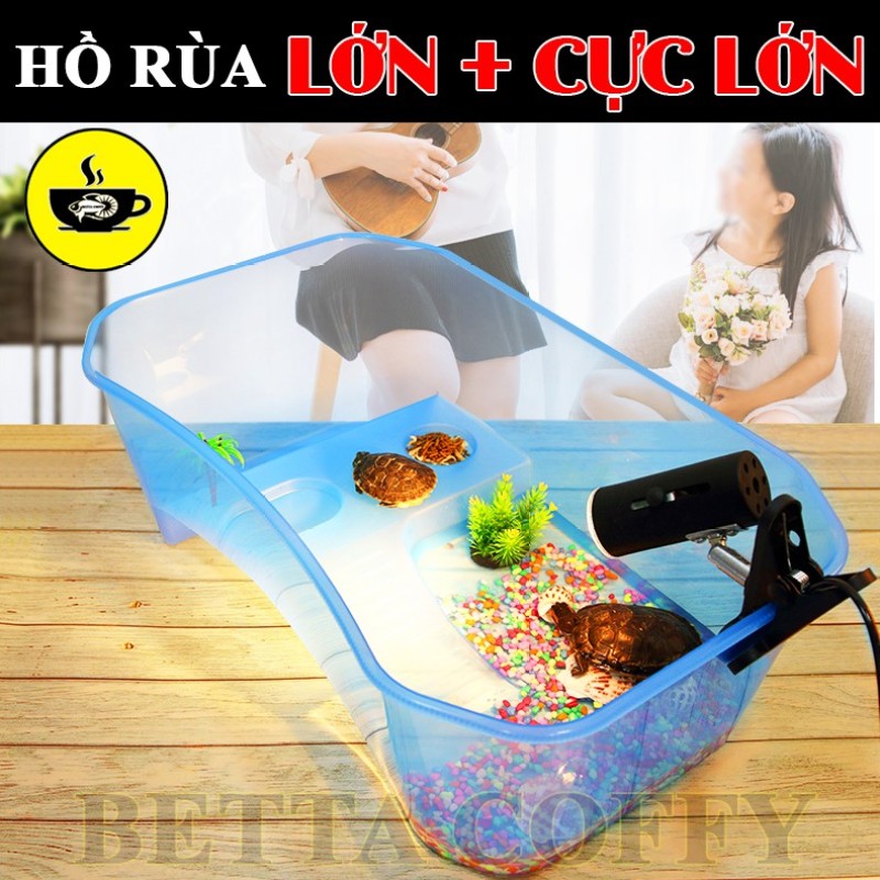 Bể Nuôi Rùa - Nuôi cá ếch thằn lằn chuột đều được - Size Lớn & Cực Lớn(Trắng(Lớn 40x25x16cm))