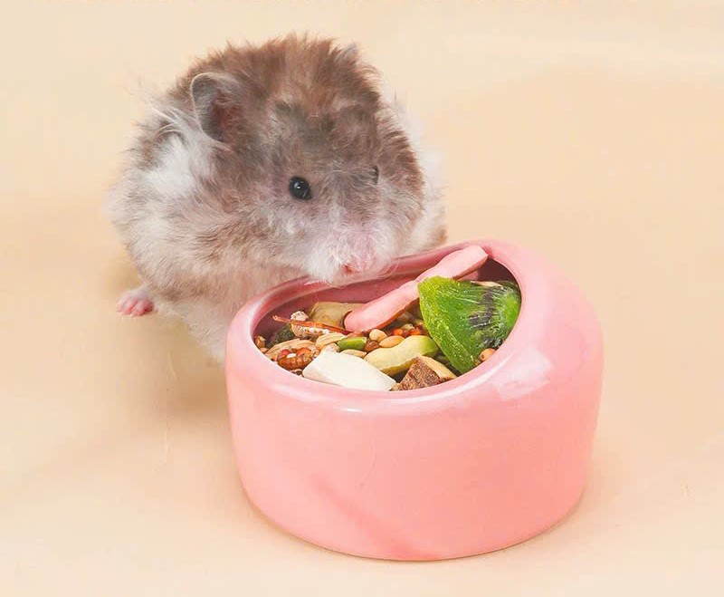 chén vòm trơn size lớn cho hamster /sóc /nhím /fat tail /dumbo / rat -T3 PETS SHOP