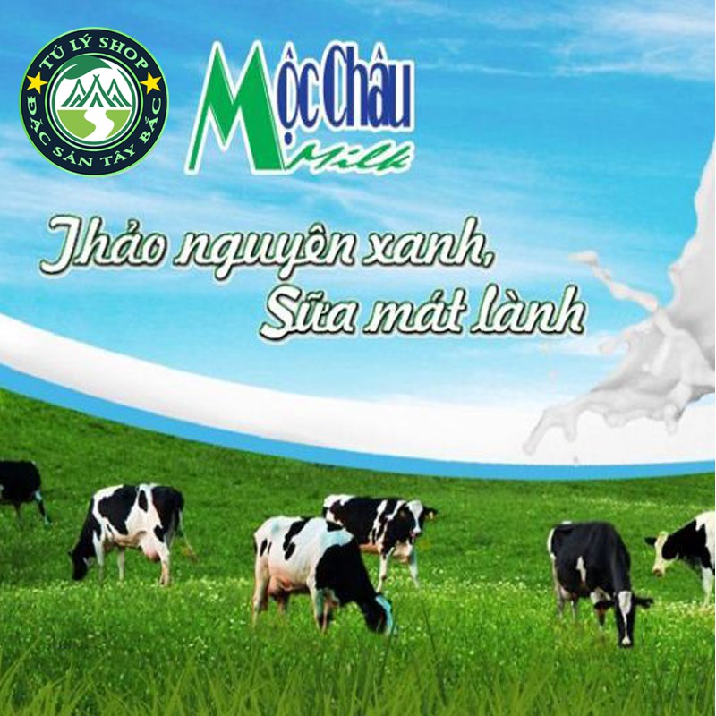 Bánh sữa Cacao Mộc Châu 200g (Bánh sữa vị Cacao)