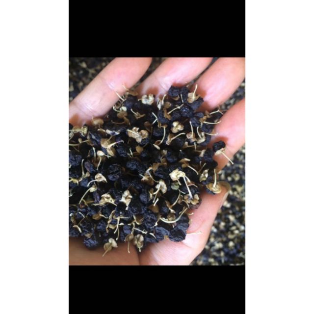 [HCM]Kỷ tử đen - hắc kỷ tử 200gr hang loại 1