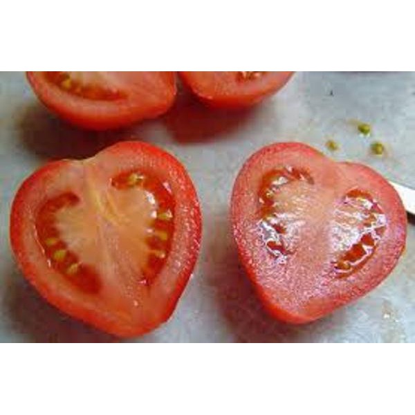 50 Hạt Giống Cà Chua Trái Tim