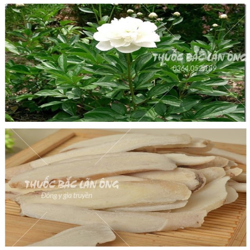 Dried White Ginseng Slices 500g, Dry, White, Fragrant - Lan Ong