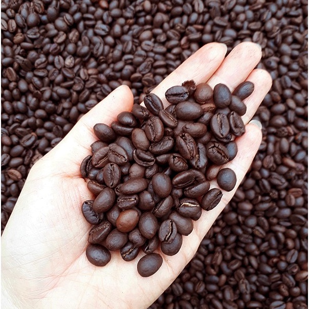Cà phê hạt nguyên chất, cà phê hạt ROBUSTA 100% Rang Mộc ( 1KG )